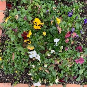 Meet your Posher, Sanaa